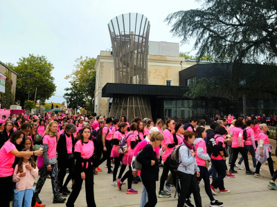Octobre Rose La Roche sur Yon